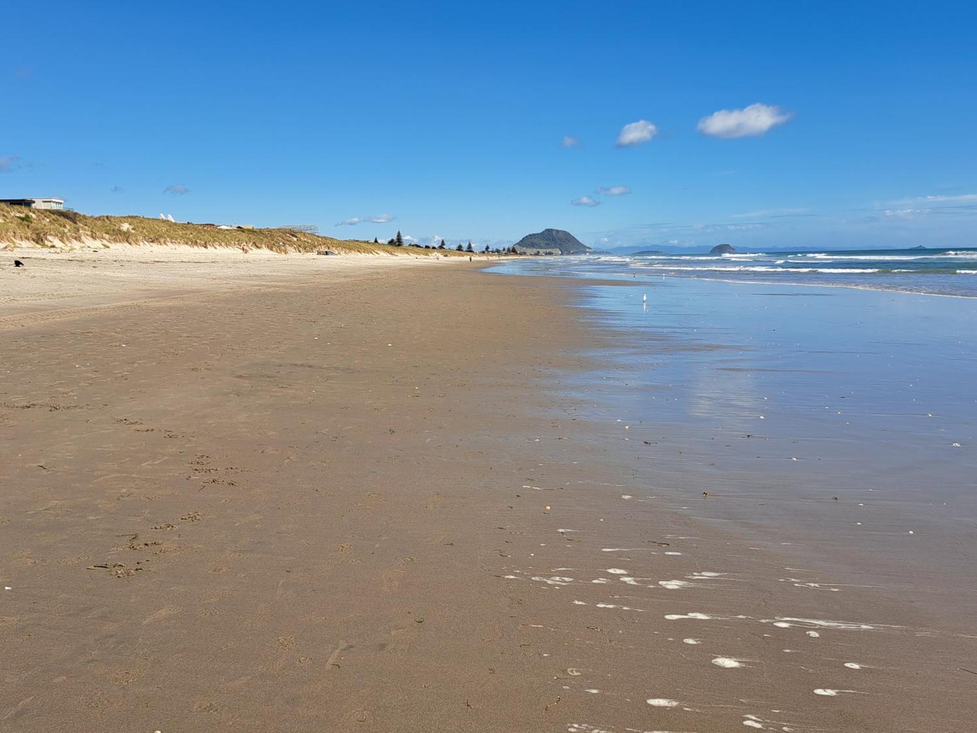 Sunbrae Beach Маунт Маунгануи Екстериор снимка